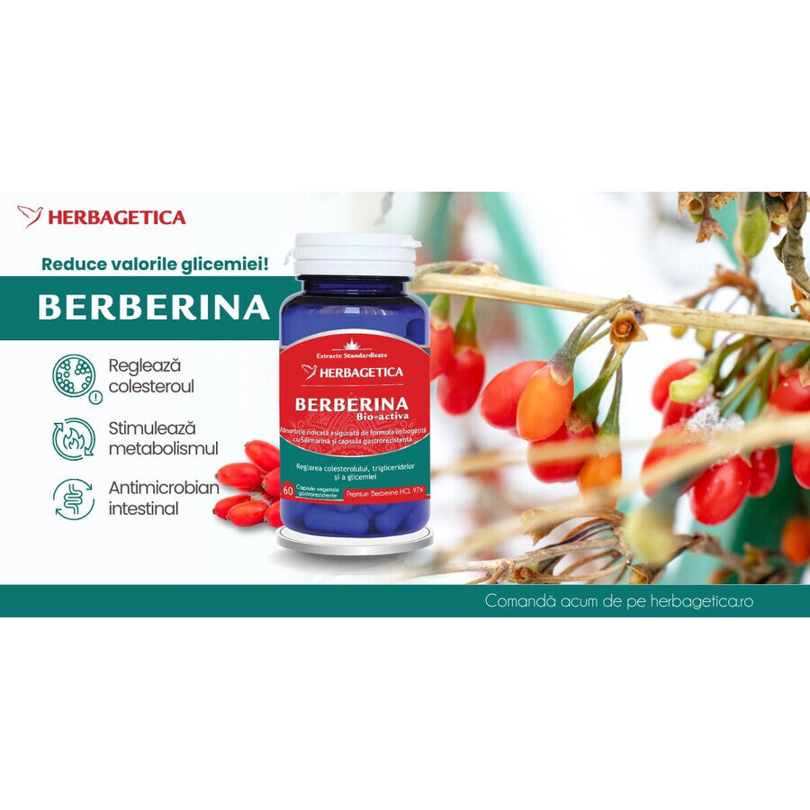 Berberina Bio-attiva, 60 Capsule